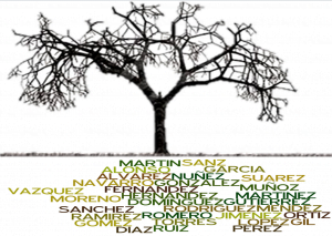 Los apellidos más comunes ¿un lastre para la genealogía?