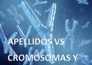 Apellidos vs cromosomas Y